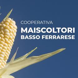 Cooperativa Maiscoltori Basso Ferrarese SRL