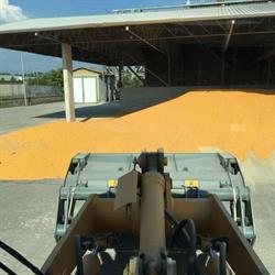 Cooperativa Morenica Cereali