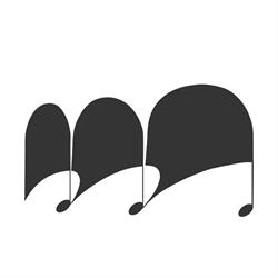 Cooperativa Musica in Lemine SRL