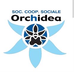 Rete Orchidea