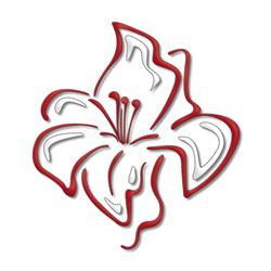 Cooperativa Sociale Il Giglio R.L.
