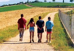 Cooperativa Sociale Progetto Emmaus R.l.