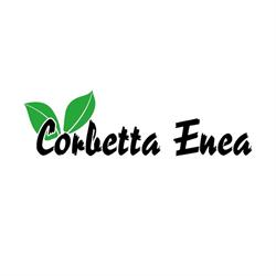 Enea Corbetta