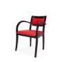 Sedie Arredamento