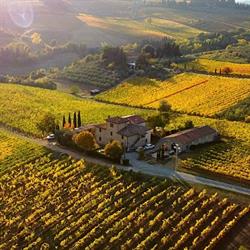Corti Matteo Azienda Agricola Poggio Al Chiuso