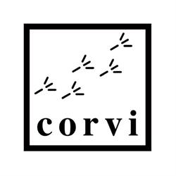 Corvi