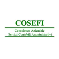 Studio Dott. Goldoni Carlo - Cosefi