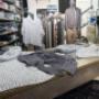 Gallery Professionale