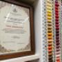 Gallery Professionale