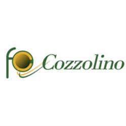 Cozzolino