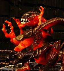 Crabby Kids S.n.c.di Muratori Elena e C.
