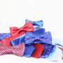Papillon Cravatte Classic