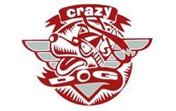 Crazy dog