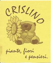 Crislino Fiori Piante e Pensieri