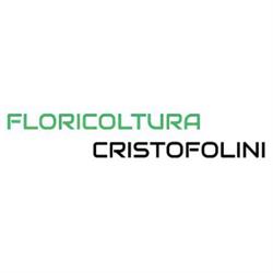 Cristofolini Guido Vivaio
