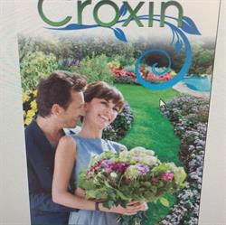 Croxin
