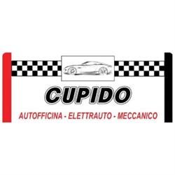 Elettrauto Cupido Ermanno