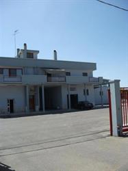 Curci Antonio