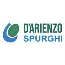 D'Arienzo