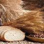 Pane Panificio F.lli D'Acunto