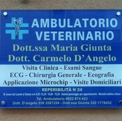 D'angelo Carmelo (Dr.)