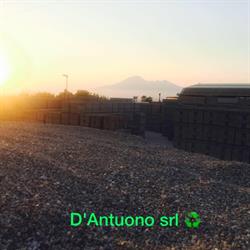 D'Antuono Giuseppe
