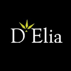 D'elia Giuseppe, Figli & C. SNC