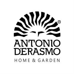 Antonio D'Erasmo