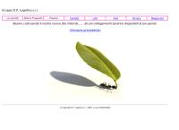 D.p. Logistica SRL