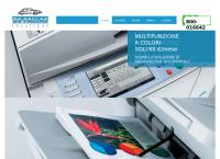 D.s. Pallas Solutions SRL