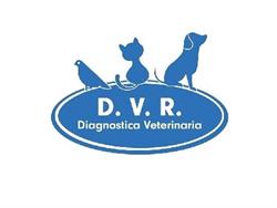 D.v.r. Diagnostica SRL