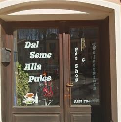Dal Seme Alla Pulce