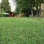 Easy Park PROTEZIONE PER PRATI GIÀ FORMATI
