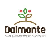 Dalmonte Guido e Vittorio