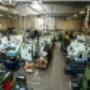 Gallery Professionale