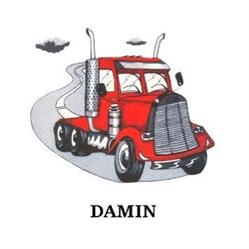 Damin