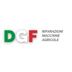 Dgf di  Davoli Fabio & C. S.n.c