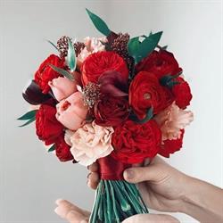 "Il Giglio" di De Gaspari Beatrice