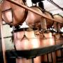 Caldaiette in Rame per La Distillazione a Vapore
