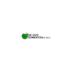 Idrosanitari De Vivo
