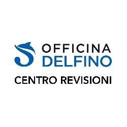 Centro Revisioni Delfino Giacomo - Luigino