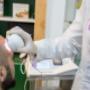 Gallery Professionale