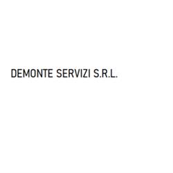 Demonte Servizi