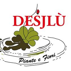 Desjlù Piante e Fiori
