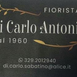 Di Carlo Antonio