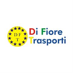 Di Fiore Vincenzo Noleggio Autogrù - Piattaforme - Cestelli - Ragni