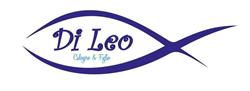Di leo infissi