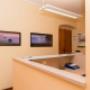 Gallery Professionale