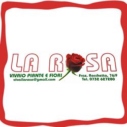 Vivaio La Rosa Di Giorgi Amorino
