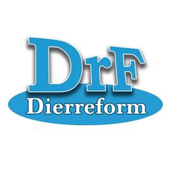 Dierreform Srl